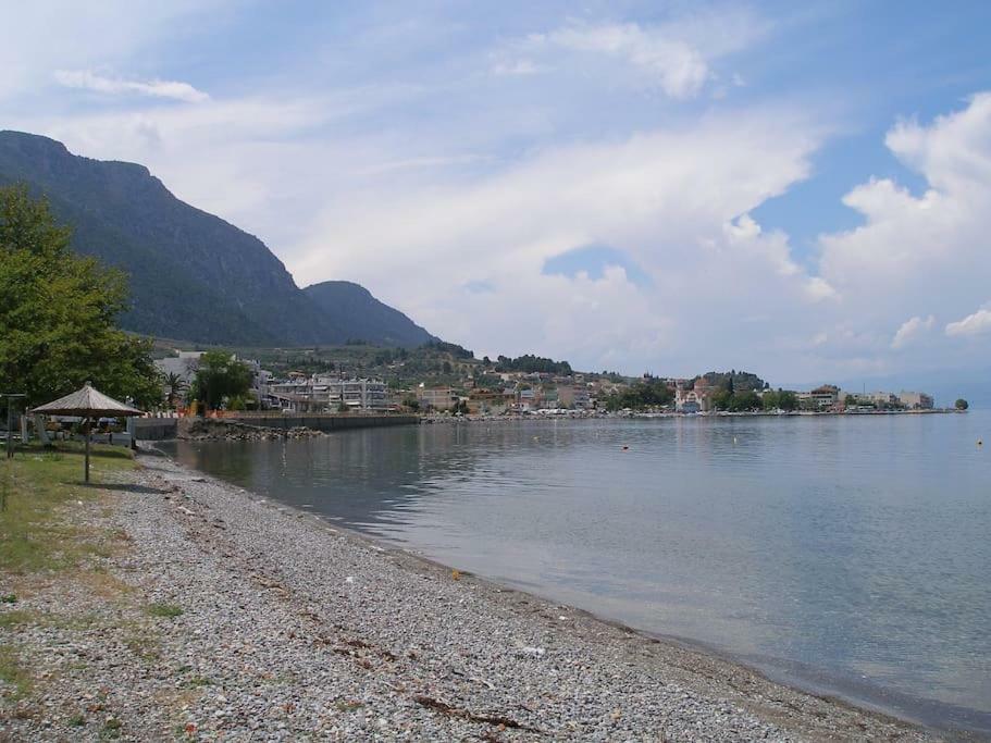 Anastasia - Efthimios Apartments Agios Konstantinos  Dış mekan fotoğraf
