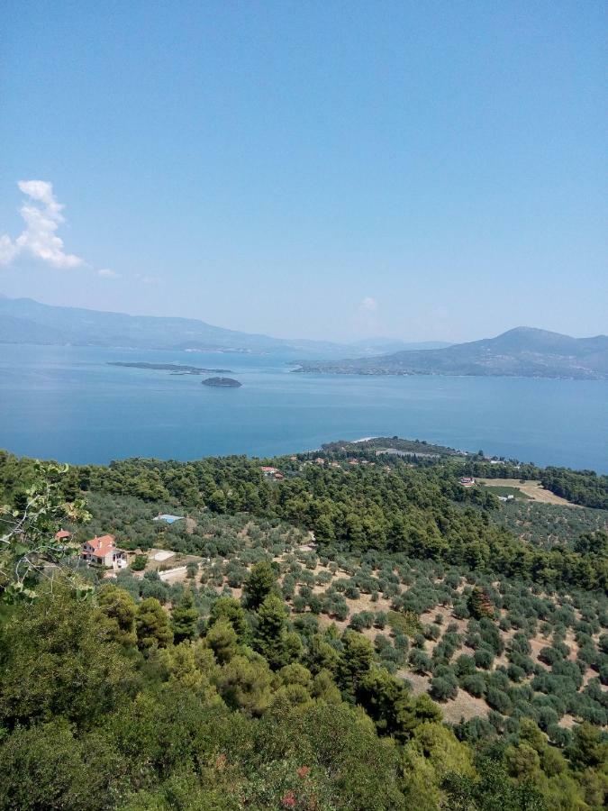 Anastasia - Efthimios Apartments Agios Konstantinos  Dış mekan fotoğraf